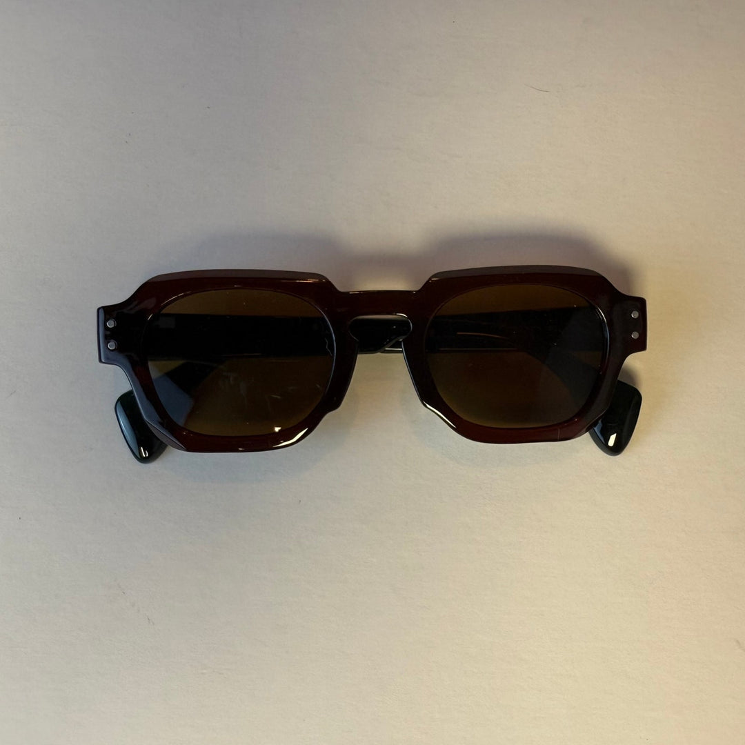 Everest Sunglasses - Rynor