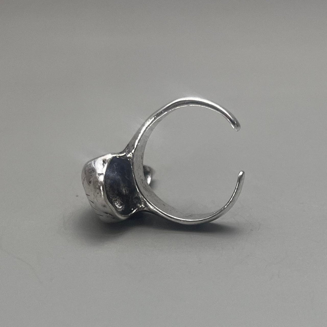 Silver Raven Skull Ring - Rynor