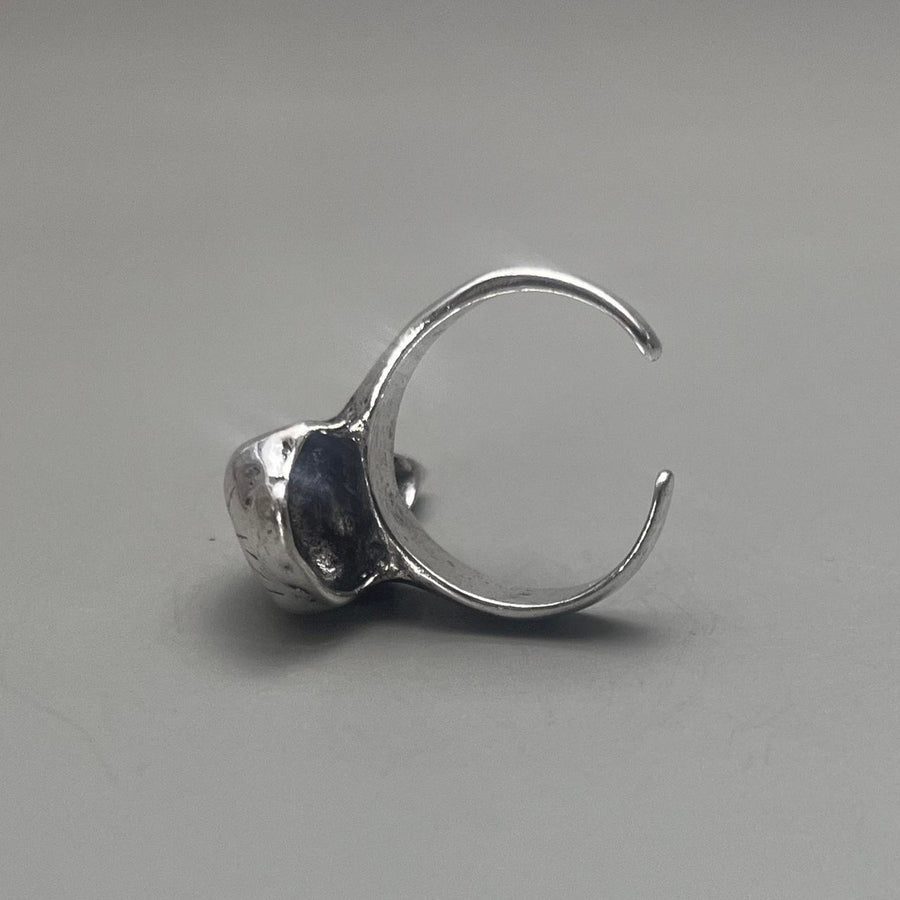 Silver Raven Skull Ring