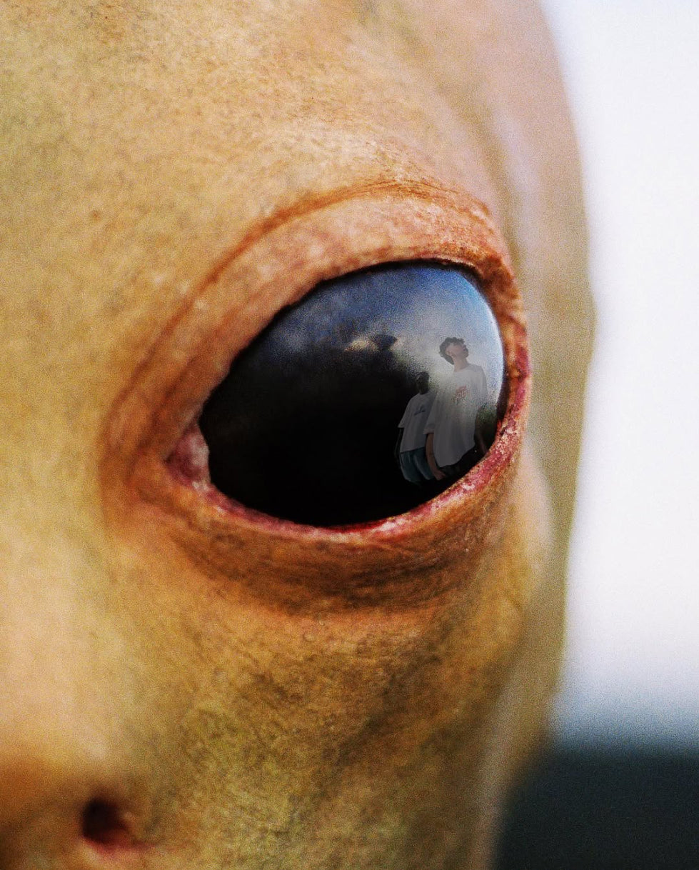 Collection page hero image