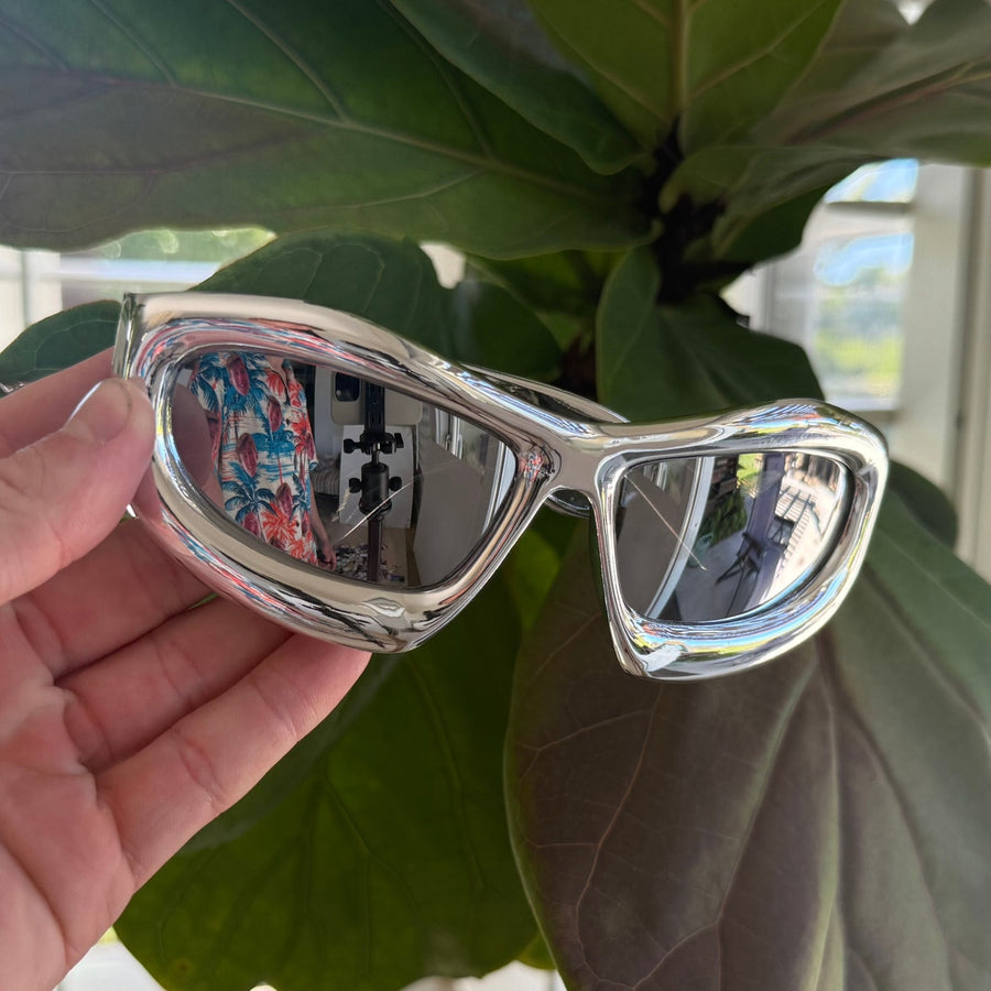 Titan Silver Sunglasses